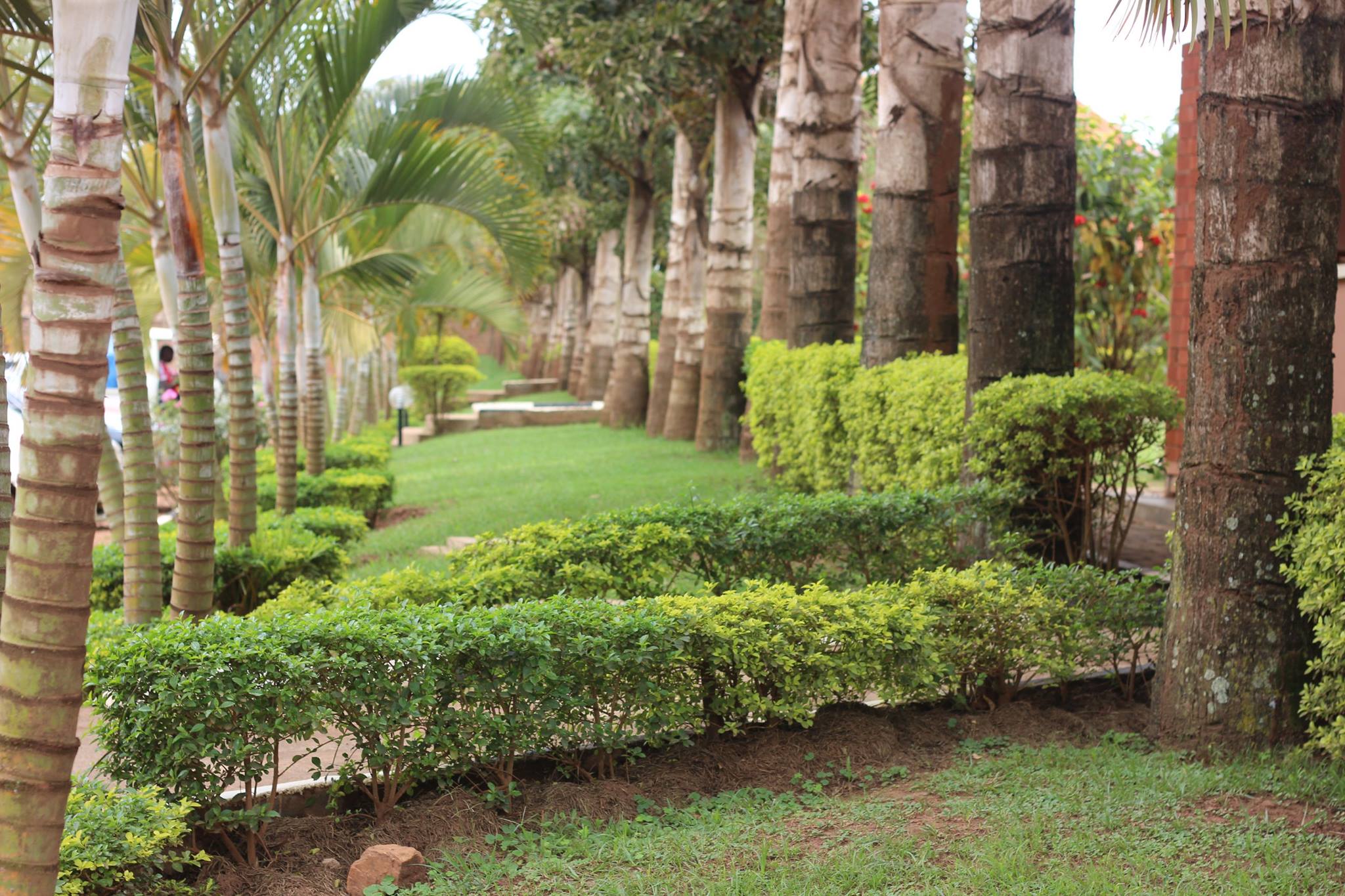 Crystal Gardens